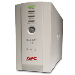 APC Back UPS 500VA UPS  (BK500EI)