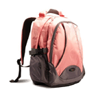 Lenovo IdeaPad� 15� Backpack B450 (Pink)
