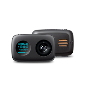 Creative Zen Stone Plus 2GB with Built-in Speaker